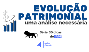 Como verificar a evolução patrimonial da Declaração de Imposto de Renda