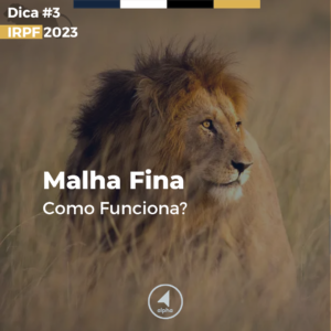 Malha Fina – Como funciona?